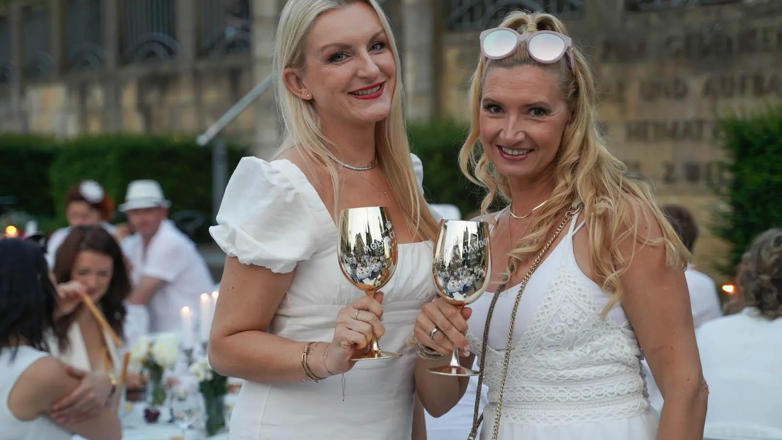 Diner en Blanc in Bayreuth (Bildergalerie) (Foto: Stefan Dörfler)