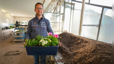 Gärtnermeister Harald Gräbner verrät, welche Pflanzen sich gut für Balkonkästen eignen und was bei der Pflege zu beachten ist.  (Foto: Stadt Bayreuth)