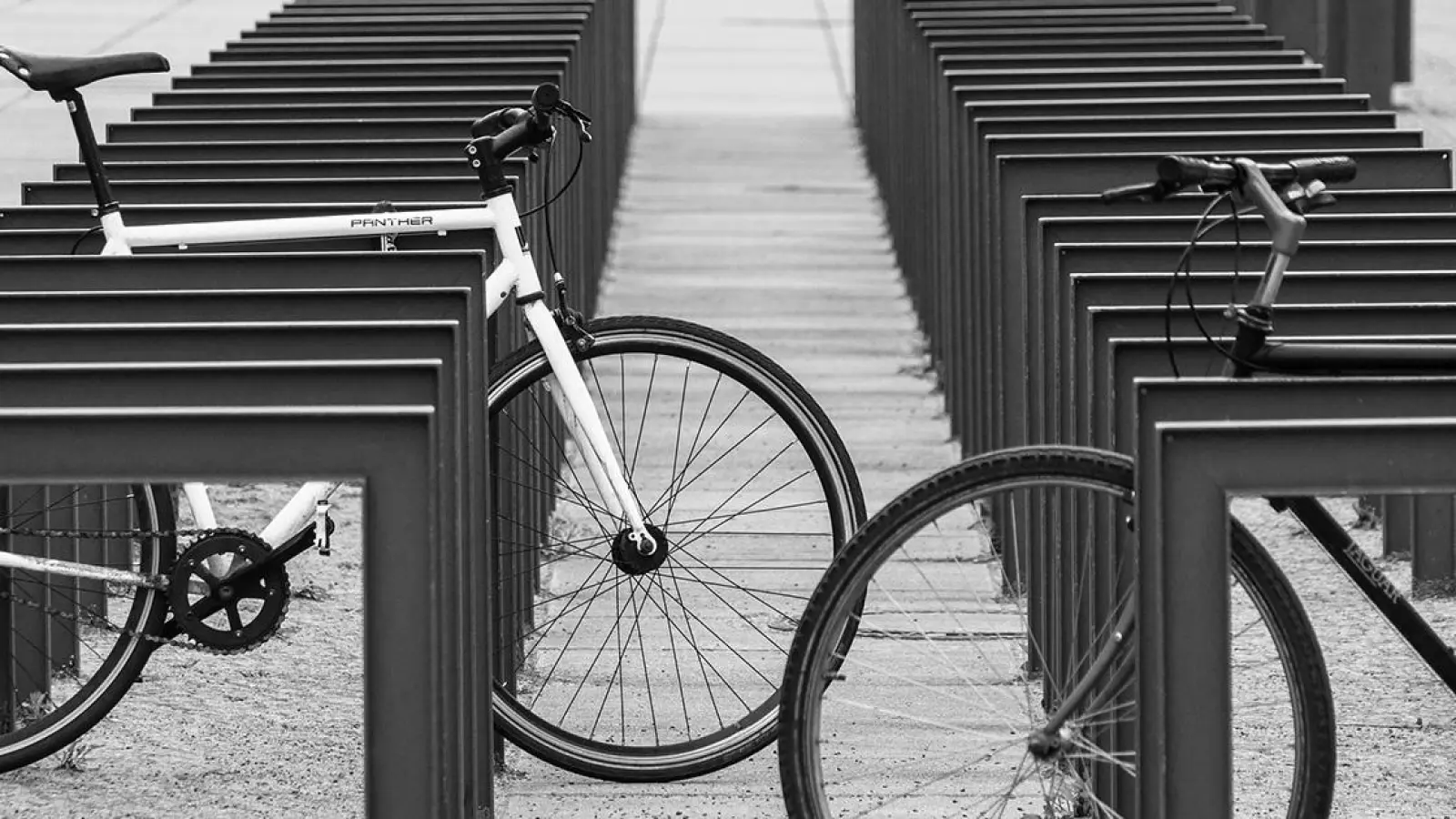 Bayreuth: Fahrradparkhäuser von der CSU gefordert. (Foto: pixabay/wal_172619)