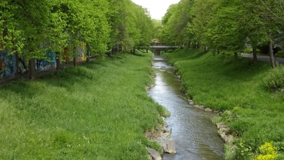 Lokalnachrichten Bayreuth: Der Mai macht alles grün (Foto: Munzert)