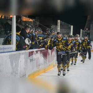 onesto Tigers Bayreuth - Bietigheim Steelers 01 (Foto: sd)
