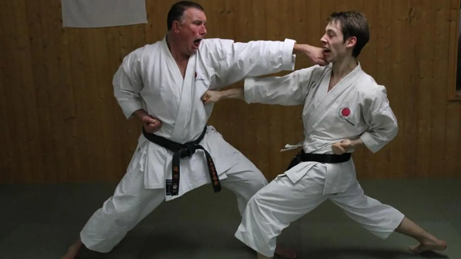 Absolute Kontrolle herrscht beim Partnertraining im Shotokan-Karate. (Foto: Henry Landeck)