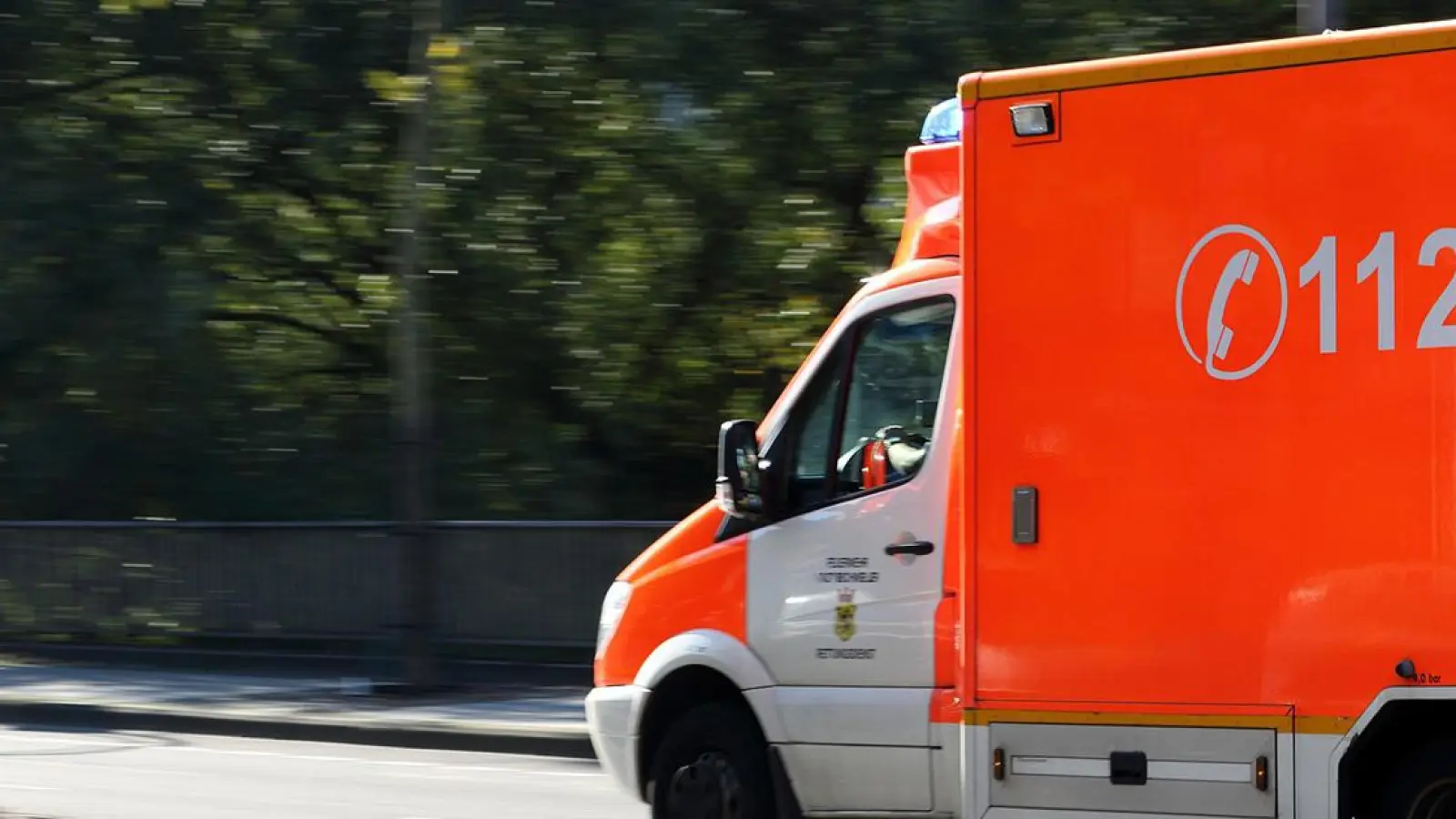 Tödlicher Unfall in Bayreuth: Mann prallt mit Auto gegen Ampel - Frau und Hund mit im Auto (Foto: red)