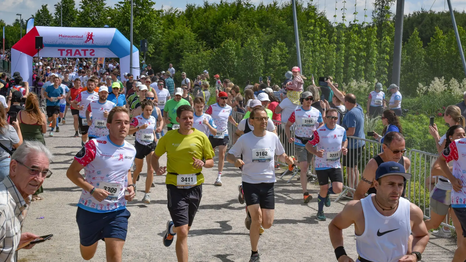 Bei bestem Wetter starteten die Läufer beim Mainauenlauf 2024.  (Foto: sd)