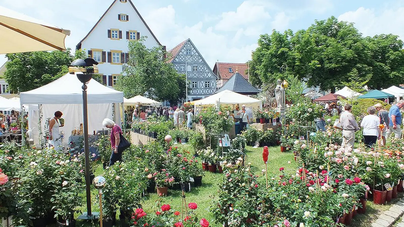 Rosentage Hollfeld Foto Roland Schmidt (Foto: inBayreuth.de)