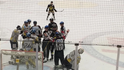 Bayreuth Tigers: Mit 3:8 zum Sieg (Foto: inBayreuth.de)