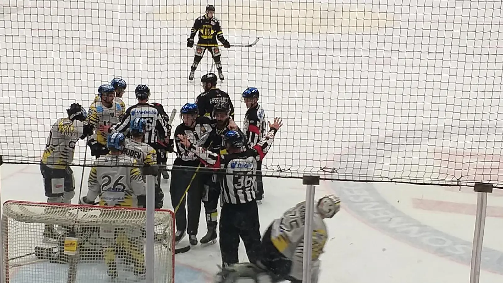 Bayreuth Tigers: Mit 3:8 zum Sieg (Foto: inBayreuth.de)