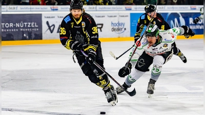 Auch die Rückkehr von Kapitän Sam Verelst (links) nach seiner Verletzungspause konnte nichts an der Niederlage der onesto Tigers in Höchstadt ändern. (Foto: Archiv/Dirk Ellmer)