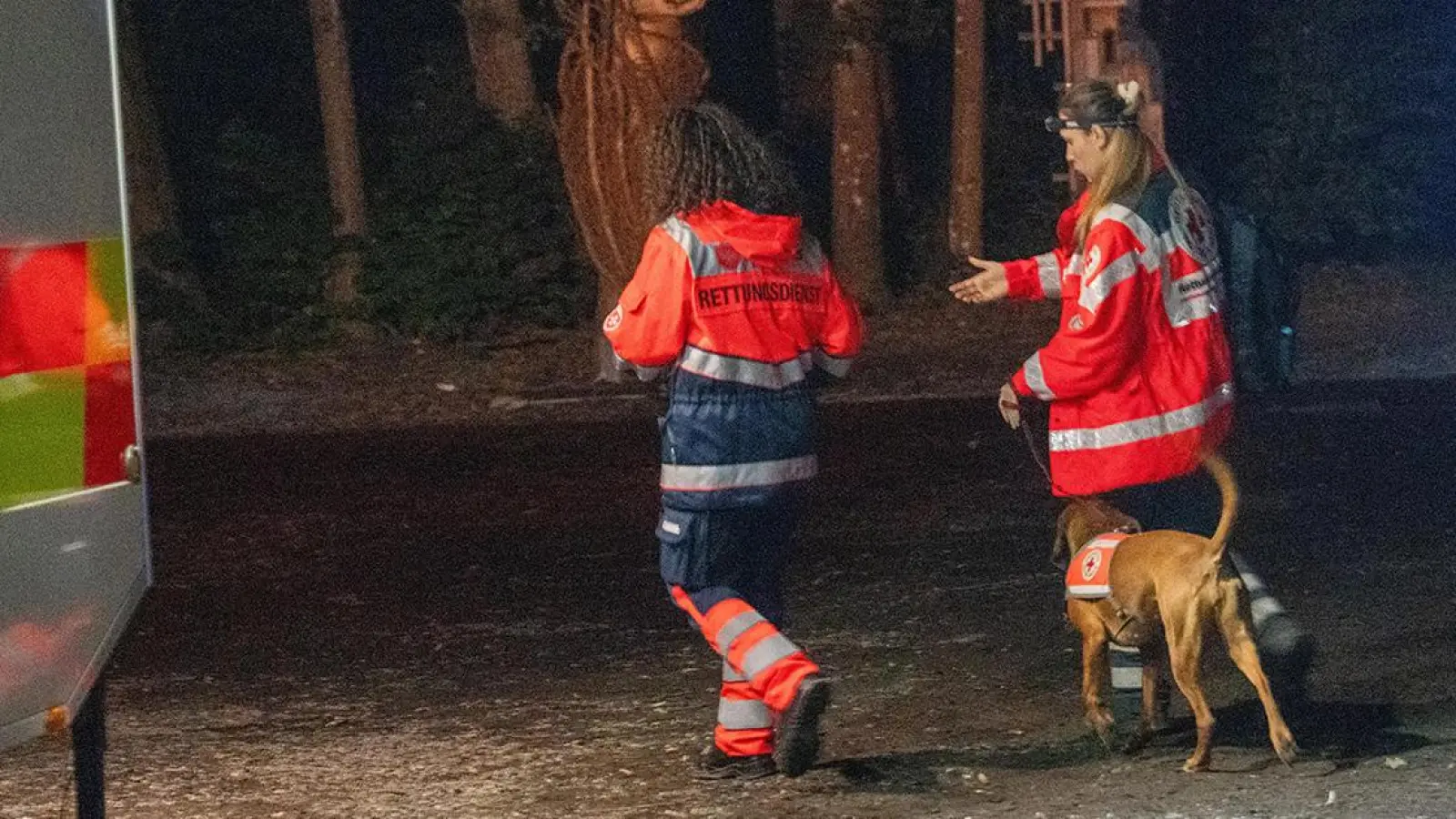 Erfolgreicher Test im Wald: Die Rettungshundestaffel des BRK Bayreuth (Foto: red)