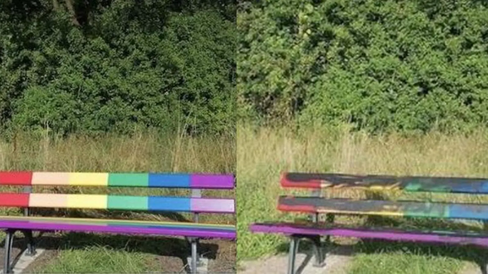 Neue Regenbogenbank in Bayreuth Ziel von Chaoten: Queere Community bestürzt (Foto: red, Montage Redaktion)