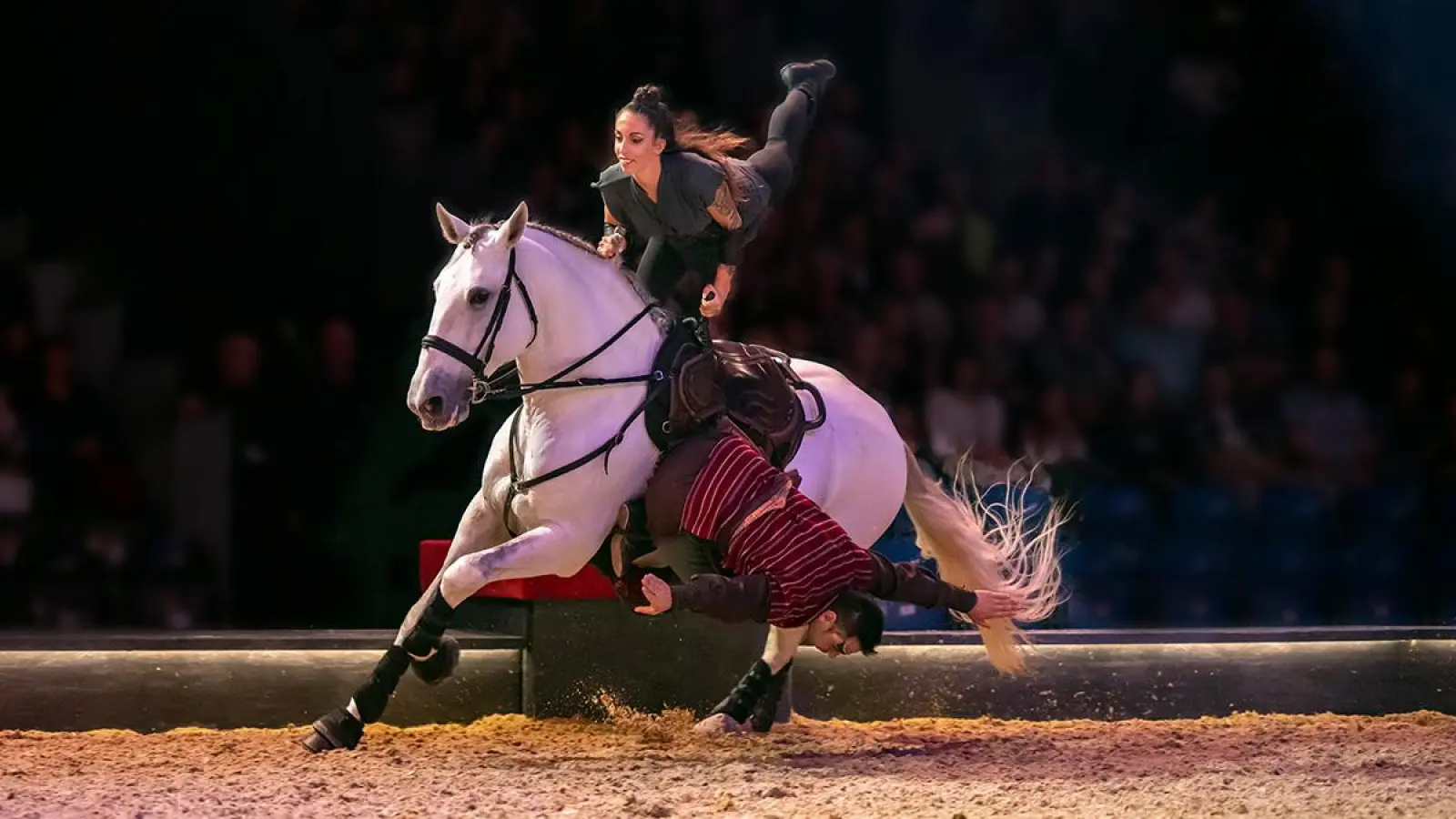 Gewinne jetzt deine Tickets für „Cavalluna”.  (Foto: red )
