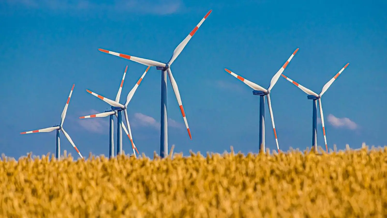 Veranstaltungen in Bayreuth: Klimawandel vor der Haustür! Was kann ich tun?“ (Foto: red)