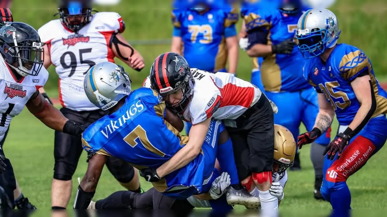 Am Sonntag ist Saisonauftakt für die Bayreuth Dragons.  (Foto: Bayreuth Dragons)