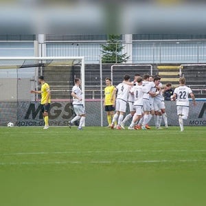 SpVgg Bayreuth - DJK Vilzing 01 (Foto: sd)