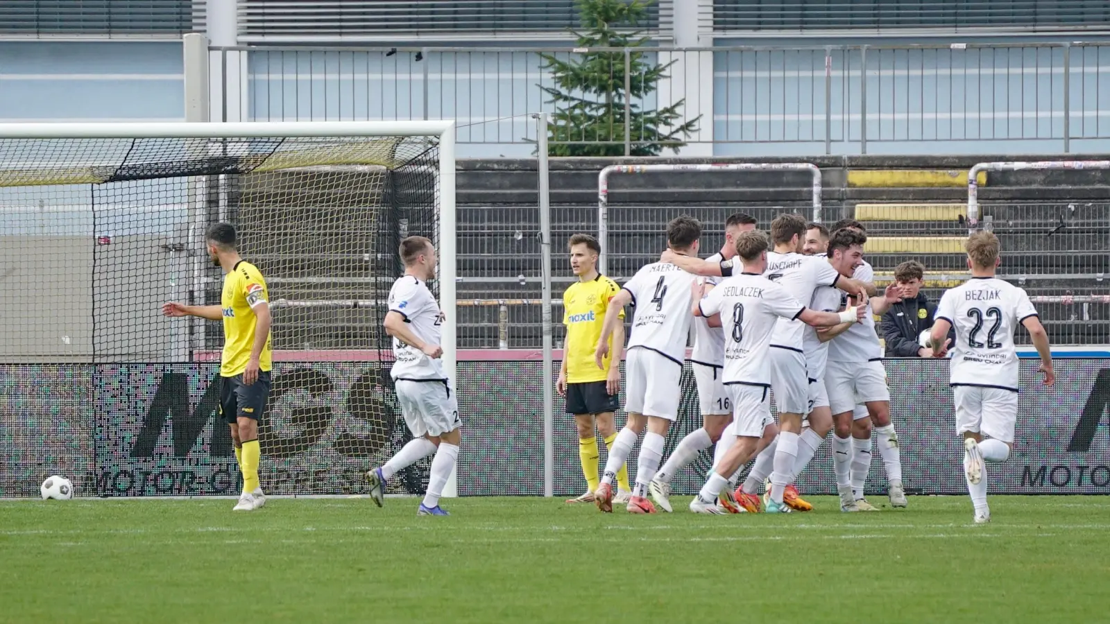 SpVgg Bayreuth - DJK Vilzing 01 (Foto: sd)