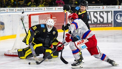 Goalie Maximilian Meier (hier im Heimspiel gegen den EC Peiting) war auch in Passau ein sicherer Rückhalt der onesto Tigers. (Foto: Dirk Ellmer )