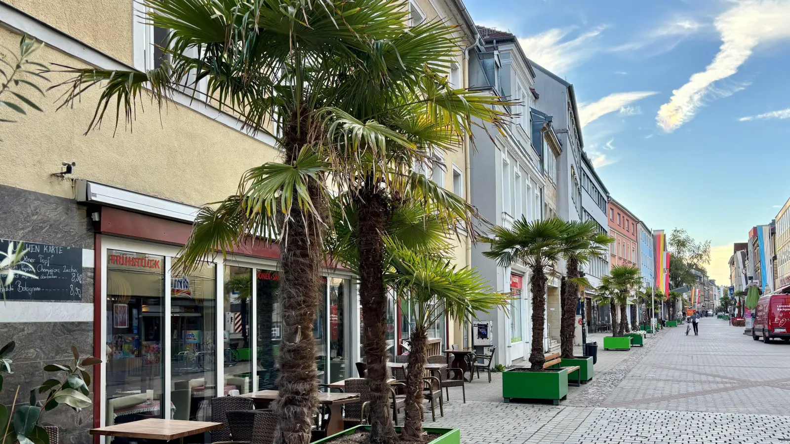 Chinesische Hanfpalmen gehören in der Richard-Wagner-Straße mittlerweile zum gewohnten Straßenbild. Dank des milden Innenstadtklimas überwintern sie auch ohne besonderen Schutz. (Foto: Stadtgartenamt Bayreuth )