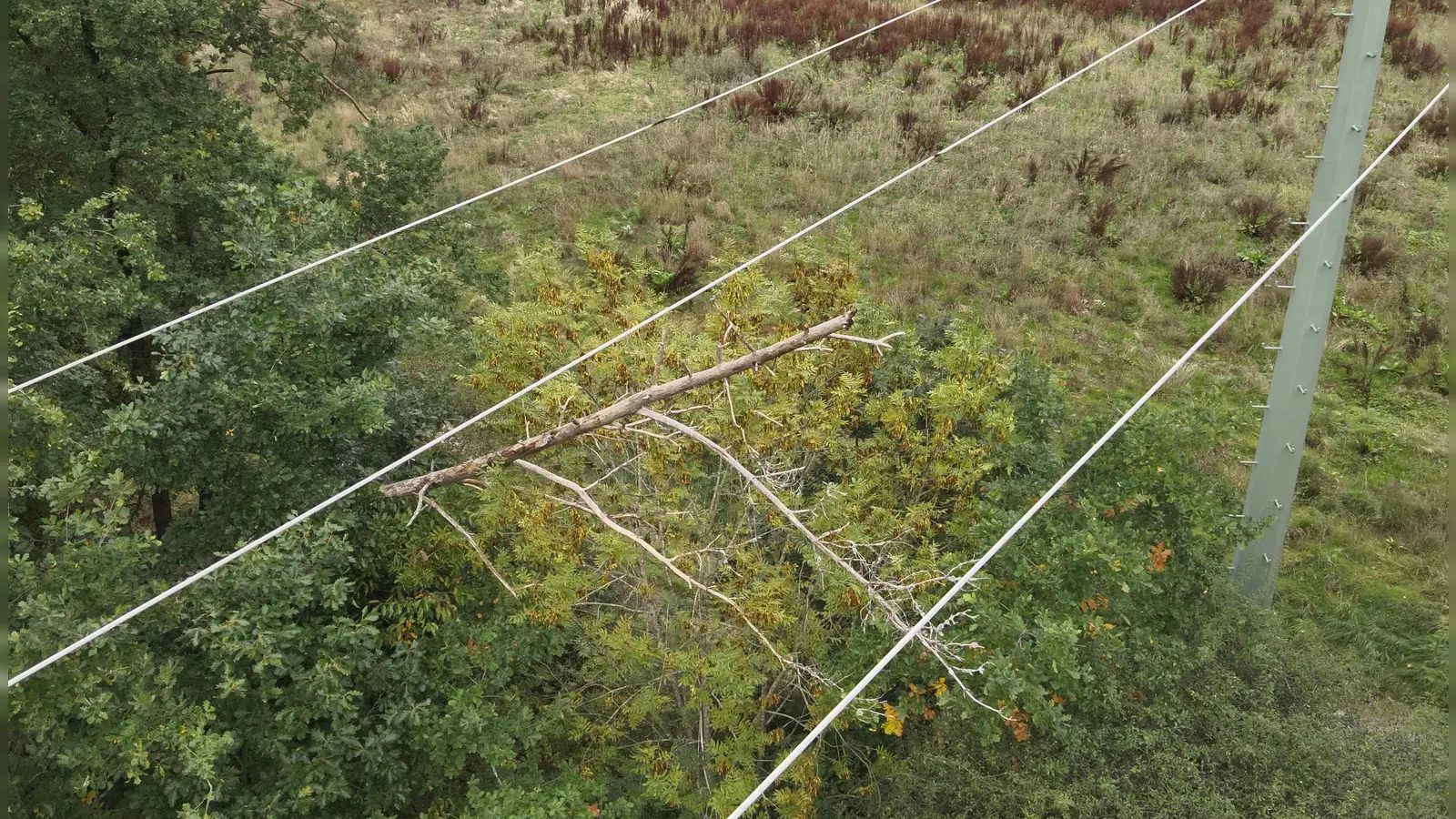Foto: Stadtwerke Bayreuth