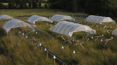Dürre-Experimente in artenreichen Wiesen auf dem Freigelände der Universität Bayreuth. (Foto: Uni Bayreuth/Anke Jentsch)