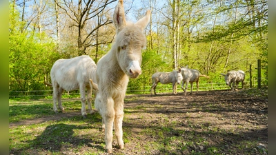 Foto: Stadt Bayreuth