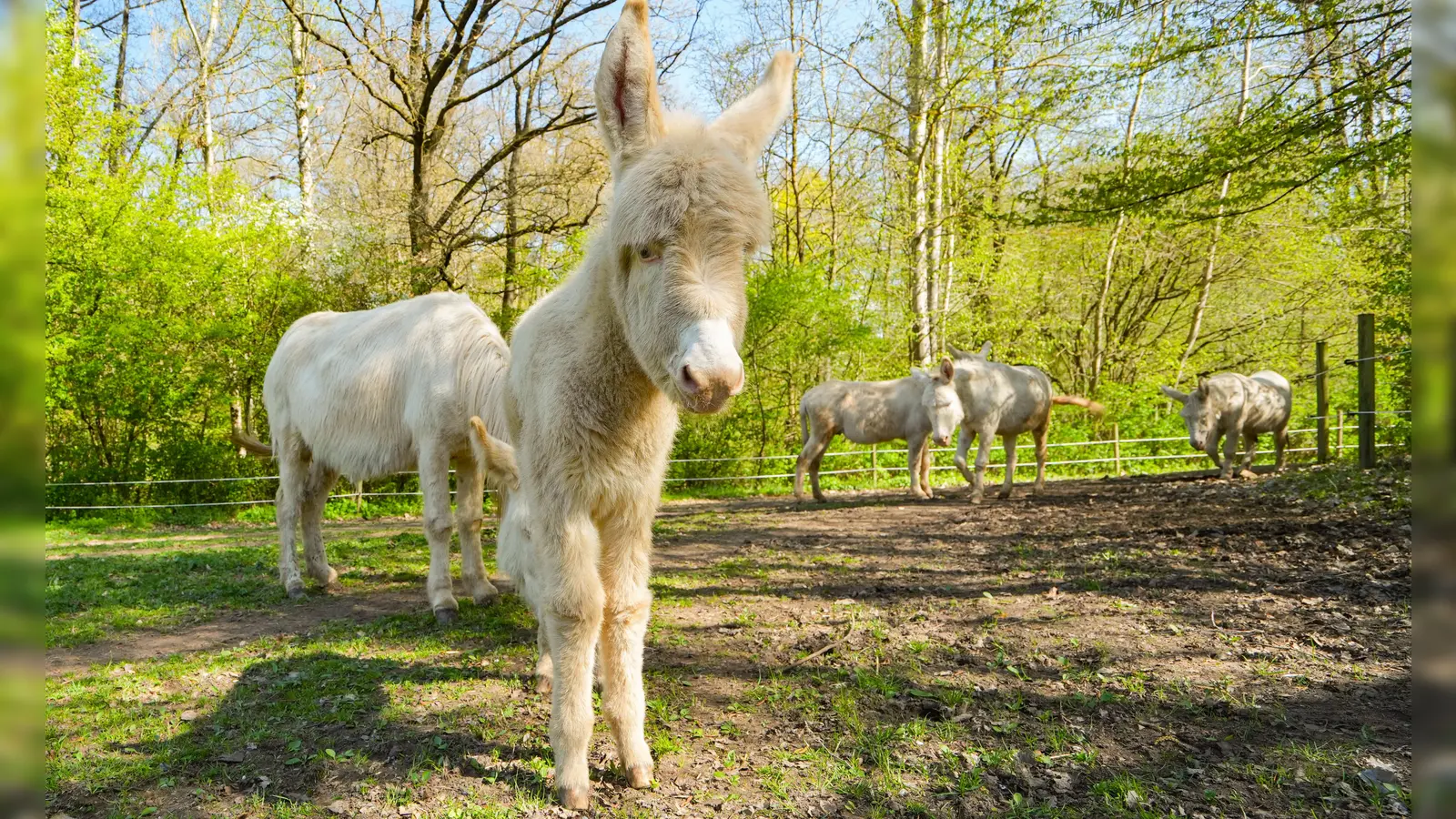 Foto: Stadt Bayreuth