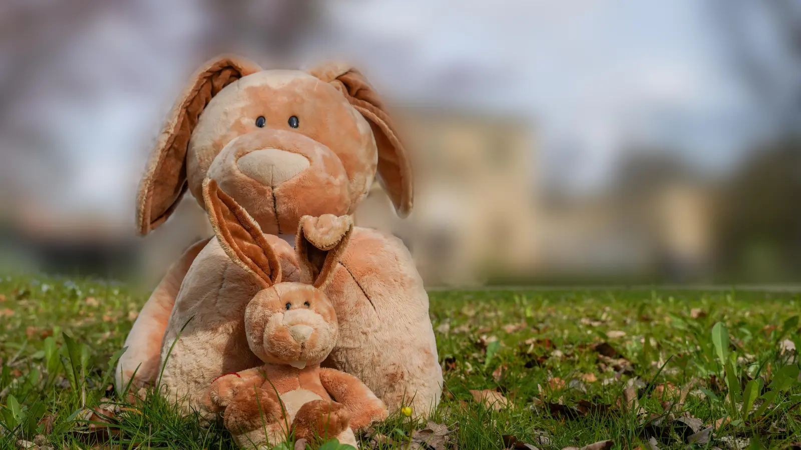 Der Osterhase ist bereits in Bayreuth unterwegs. Wo haben wir ihn angetroffen?  (Foto: sd)