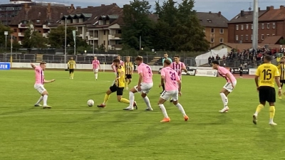 Altstadt vs Aubstadt 29.08.23 Dörfler (Foto: Stefan Dörfler)
