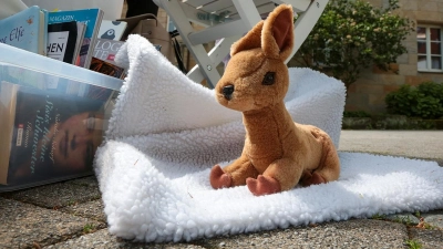 Bücher, Musik, Kleidung, Kunst, vielleicht auch etwas zum Kuscheln: Flohmarkt im Neuneinhalb am 3. Februar 2024 (Foto: red)