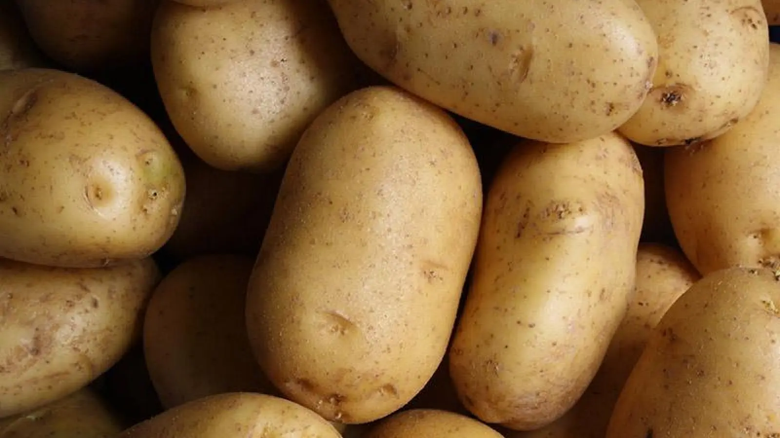 Die Kartoffel als wahres Zaubermittel (Foto: red)