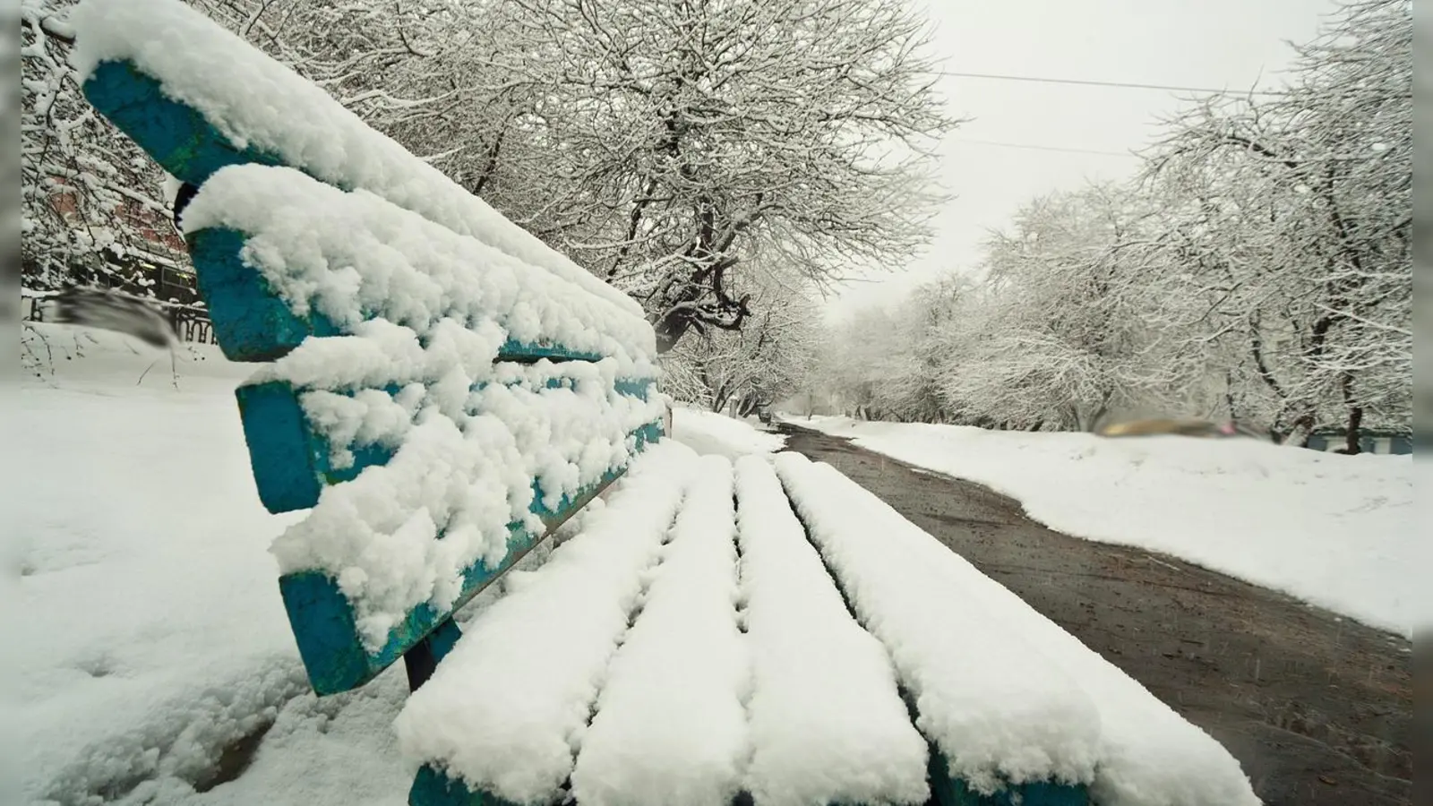 Der Winter meldete sich am 26. Januar mit voller Wucht zurück – und das nahezu über Nacht. Innerhalb weniger Stunden versank Bayreuth in einer dicken Schneedecke. (Foto: red/Archiv)