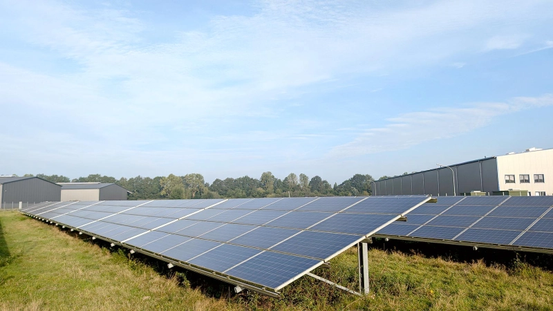 Funktioniert landwirtschaftliche Nutzung zwischen Solarmodulen? Die Meinungen gehen auseinander.		 Foto: PEXELS (Foto: PEXELS)
