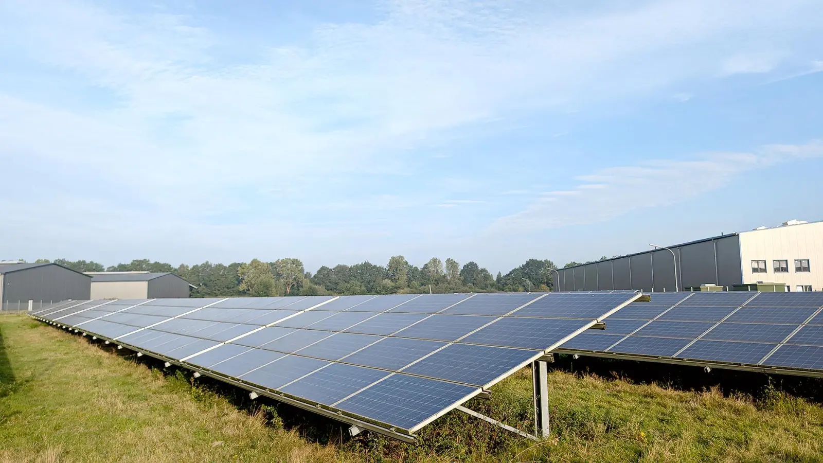 Funktioniert landwirtschaftliche Nutzung zwischen Solarmodulen? Die Meinungen gehen auseinander.		 Foto: PEXELS (Foto: PEXELS)
