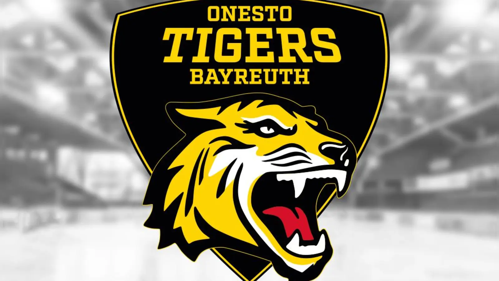Fünf Testspiele der onesto Tigers sind terminiert. (Foto: onesto Tigers Bayreuth)