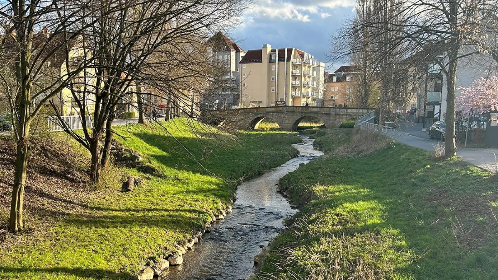 Bachbett der Mistel: naturnaher und natürlicher Bereich.  (Foto: G. Munzert)