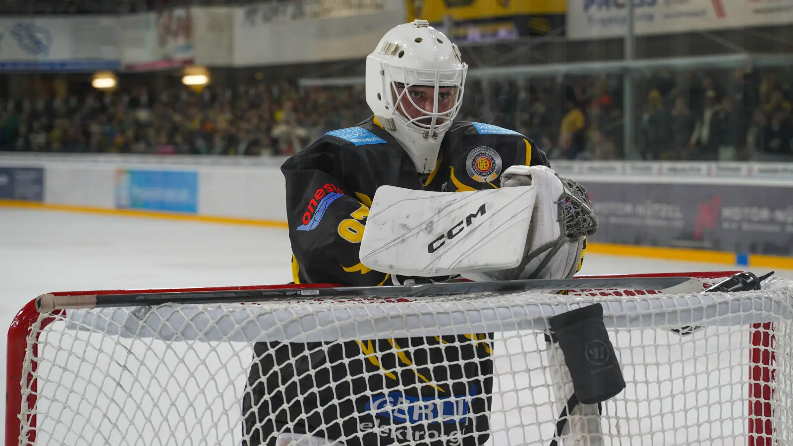 Der angeschlagene Goalie Ilya Andryukhov war trotz seiner Leistenprobleme ein sicherer Rückhalt der onesto Tigers in Heilbronn.  (Foto: Archiv/sd)