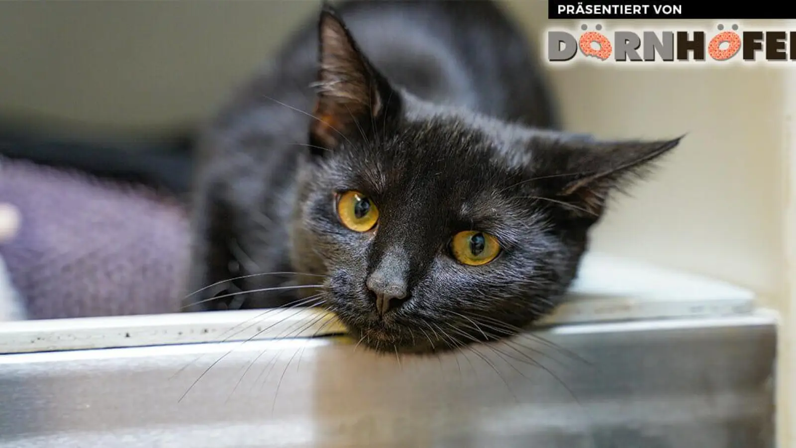 Wer kennt mich? (Foto: inBayreuth.de)