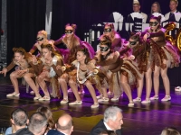 Die Faschingsgesellschaft Schwarz-Weiß feierte am Samstagabend ihre Galasitzung im Zentrum. (Foto: sd)