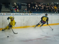 onesto Tigers Bayreuth - Tölzer Löwen 02 (Foto: sd)