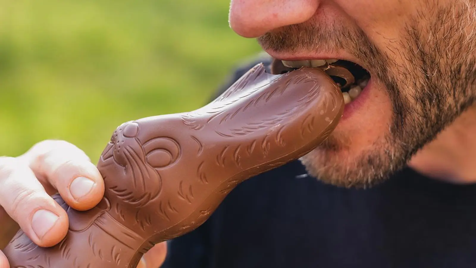 Schoko-Hase toppt Weihnachtsmann: So viel Schokolade essen die Bayreuther (Foto: red)