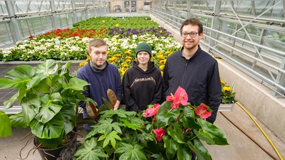 Harald Gräbner vom Stadtgartenamt stellt mit den Auszubildenden Selina Somieski und Jonas Ruppert (v. re.) fünf beliebte Pflanzen vor, die die eigene Wohnung in ein tropisches Paradies verwandeln. (Foto: Stadt Bayreuth)