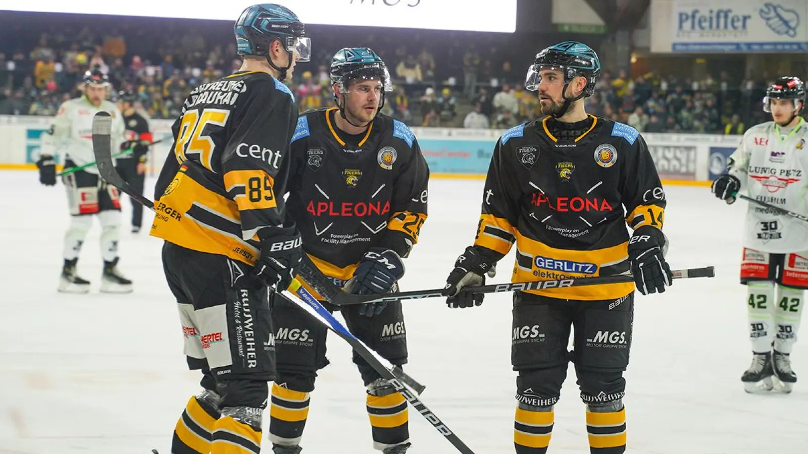 Die Zeichen auf eine Insolvenz der Bayreuth Tigers verdichten sich. Eine offizielle Stellungnahme seitens der GmbH steht jedoch noch aus. (Foto: Stefan Dörfler)