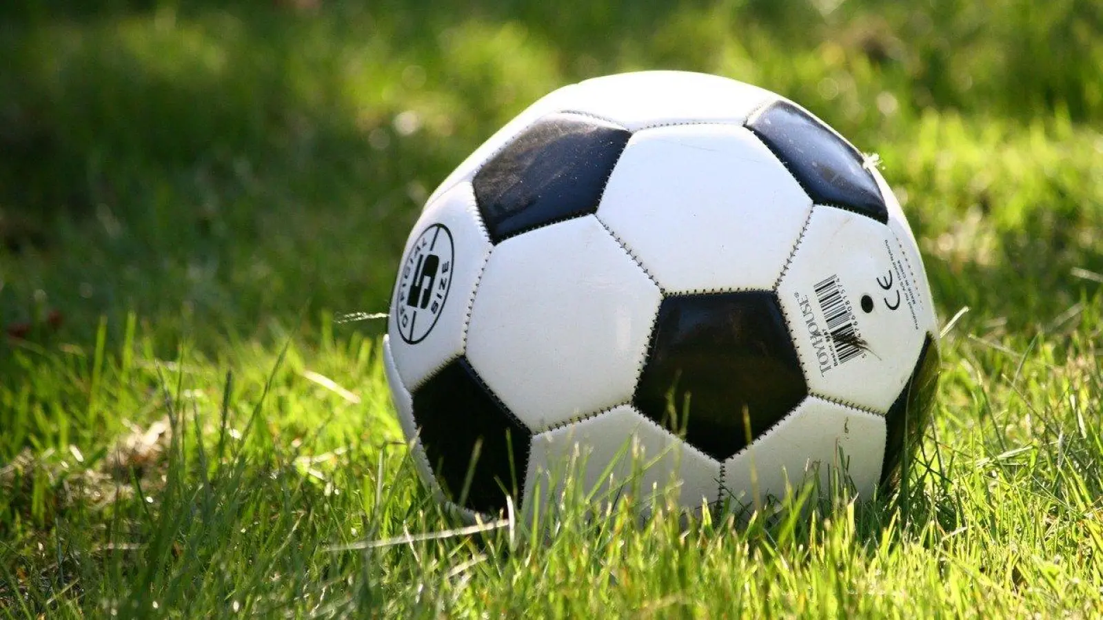 Amateurfußball in Bayreuth: Vereine stimmen für Abbruch mit Auf- und Absteigern (Foto: red)