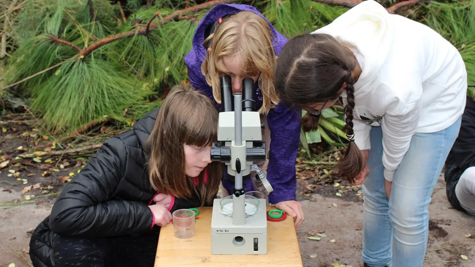 „Das große Krabbeln”: Führung für Kinder im Ökologisch-Botanischen Garten der Uni Bayreuth (Foto: red)