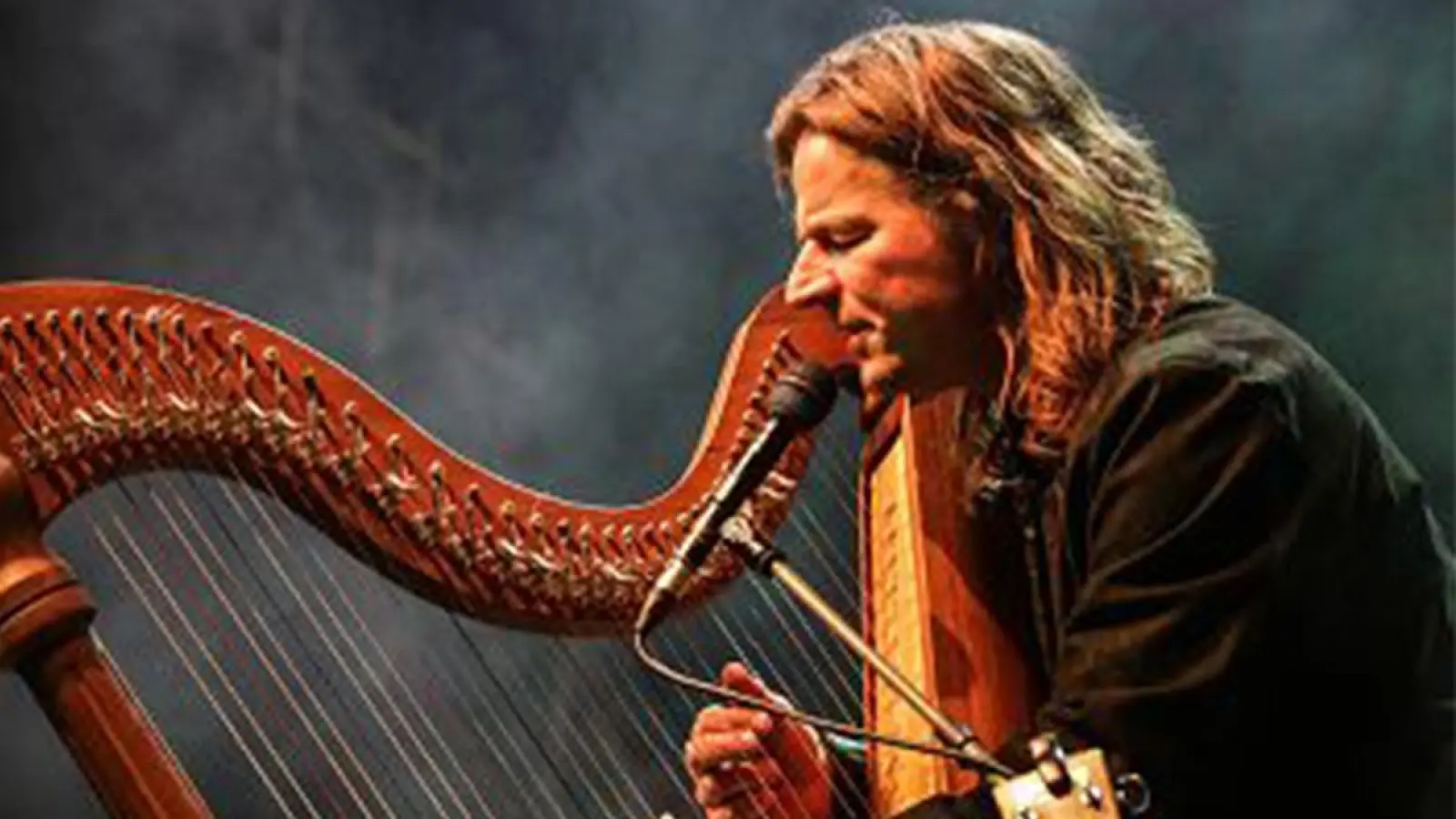 Andy Lang an der Harfe. (Foto: Humboldt-Kulturforum Goldkronach/red)