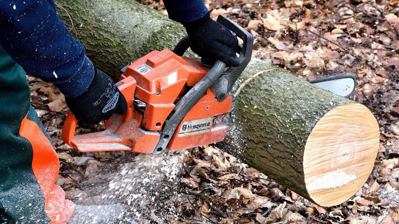 Mann mit Kettensäge an einem Baumstamm. (Symbolbild: pixabay/Hans Linde)