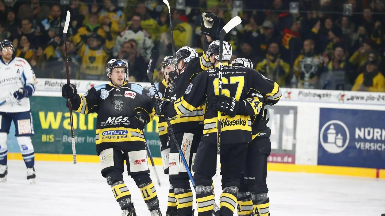Bald können die Zuschauer die Tigers wieder jubeln sehen. (Foto: inBayreuth.de)