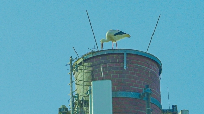 Foto: Stadt Bayreuth