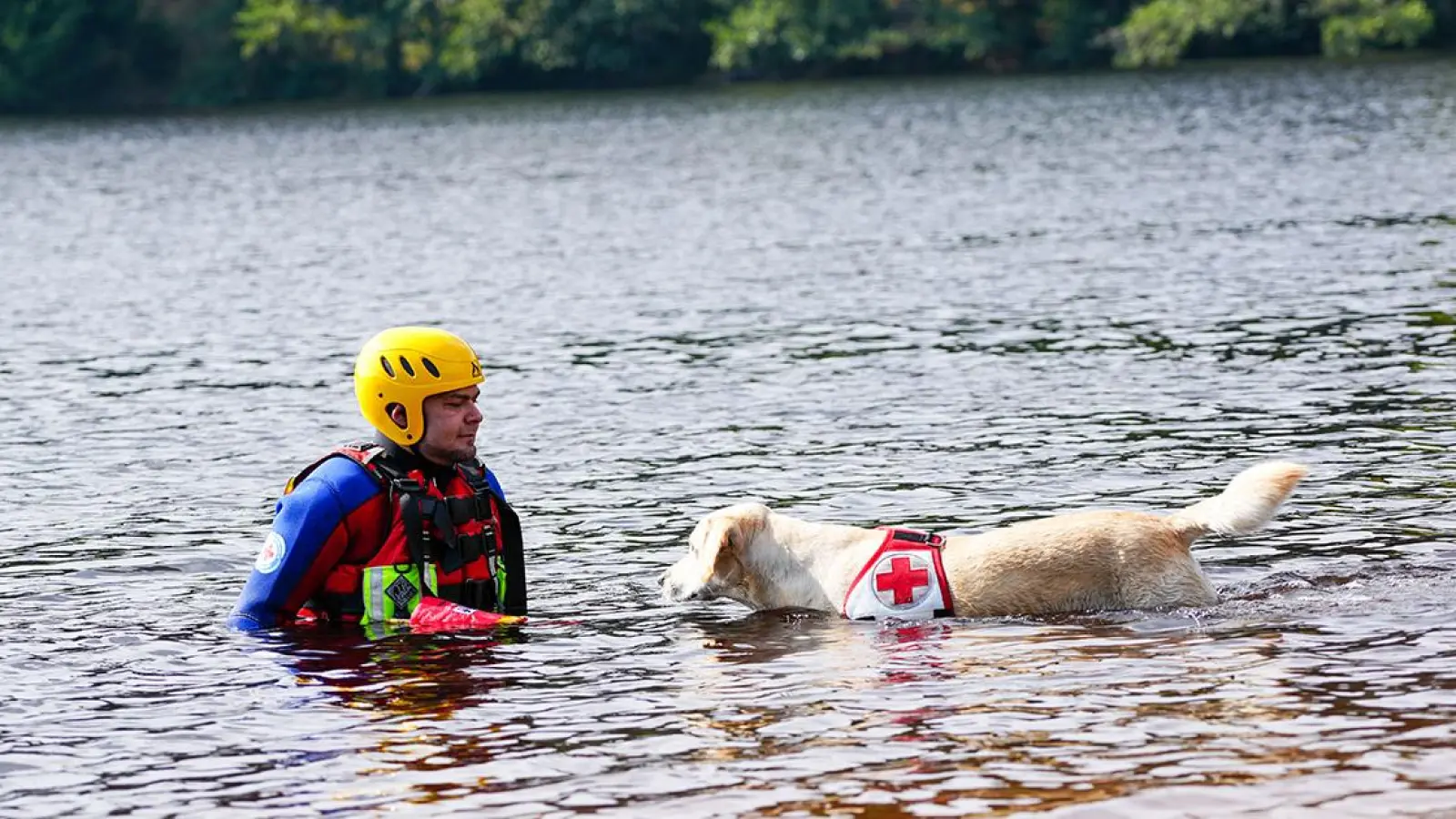 Für den Ernstfall: Hunde trainieren Menschenretten bei Bayreuth (Foto: red)