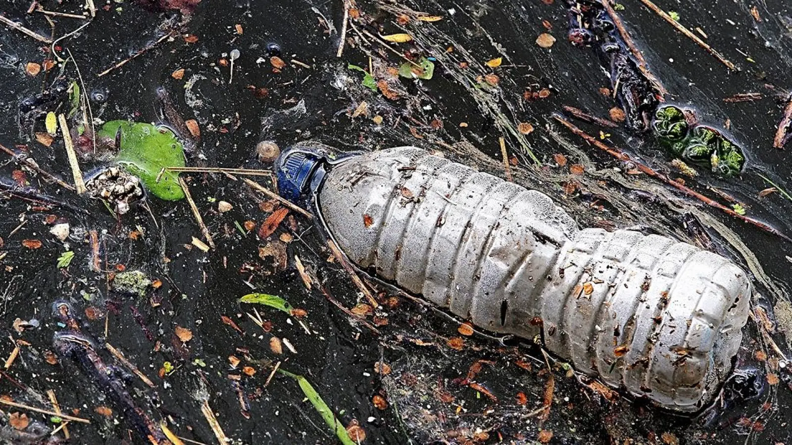Kampf gegen Mikroplastik: Bahnbrechende Erfindung aus Bayreuth vorgestellt (Foto: Symbolbild pixabay: aitoff)