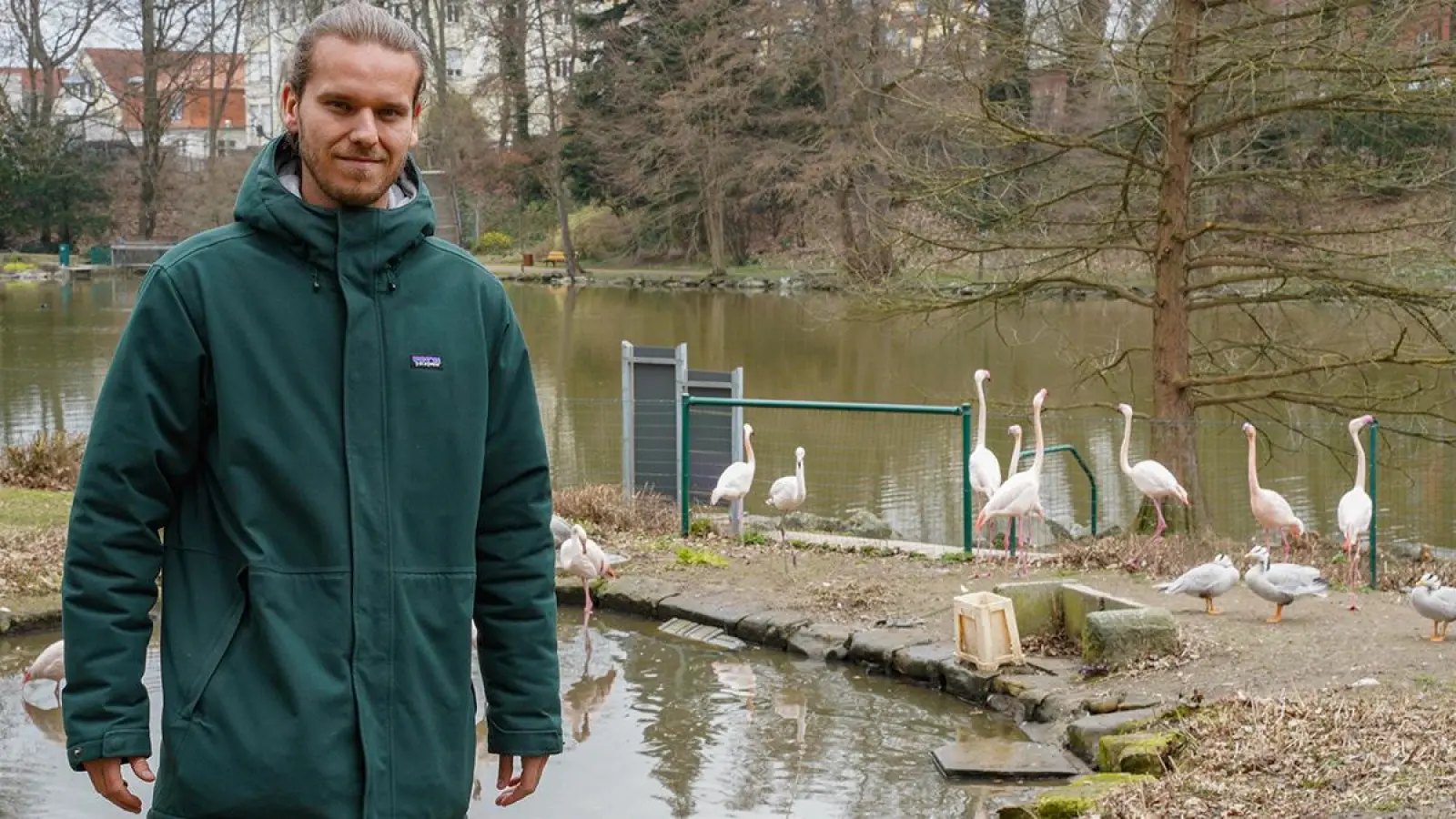 Dimitri Seidenath vom Stadtgartenamt bei den Flamingos: Ab Juni werden Eier gelegt. (Foto: Dörfler)